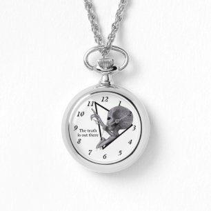 Montre Alien gris, la vérité est là