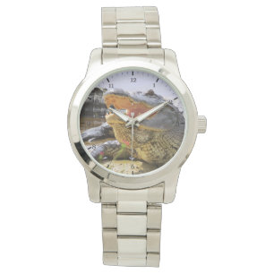 Montre Alligator