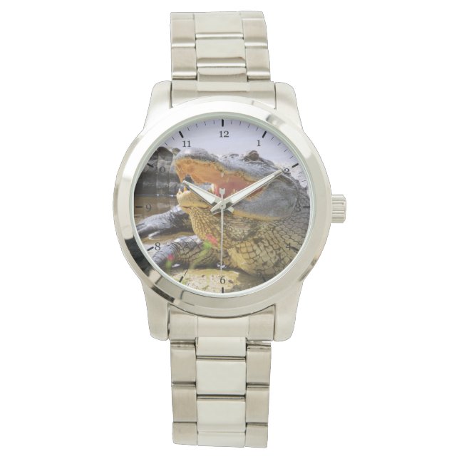Montre Alligator (devant)
