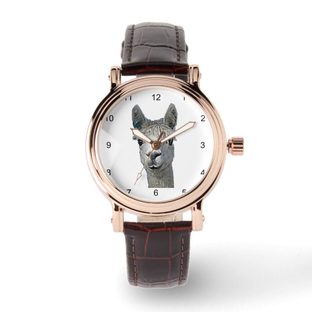 Montre Alpaca Alpakka Alpaka Alpaga (Recto)