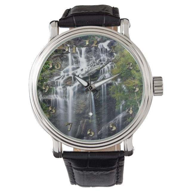 Montre Alpes Haut de la cascade (devant)