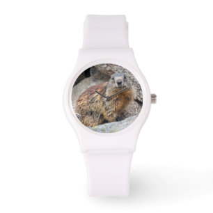 Montre alpine de Marmot