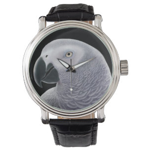 Montre amicale de perroquet de gris africain