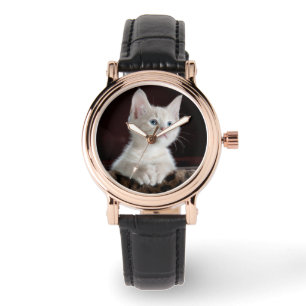 Montre Amoureux des animaux Modèles photo White Kitten