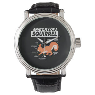 Montre Anatomie D'Un Écureuil