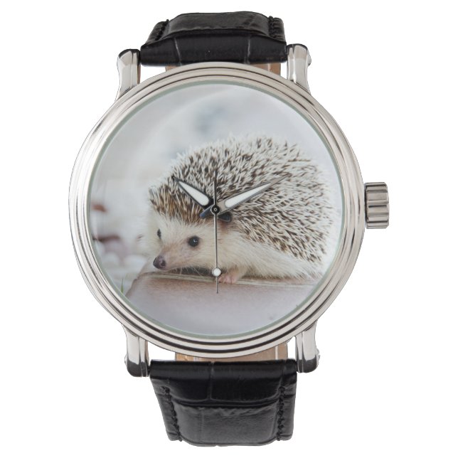 Montre Animal de Cute (devant)