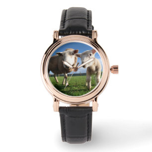 Montre Animaux de bébés cutest Agneau nouveau-né & mama