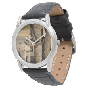 Montre Animaux de bébés cutest   Baby Elephant & Mama