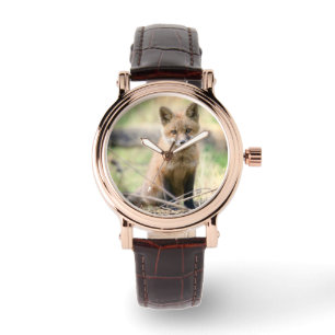 Montre Animaux de bébés cutest   Baby Fox