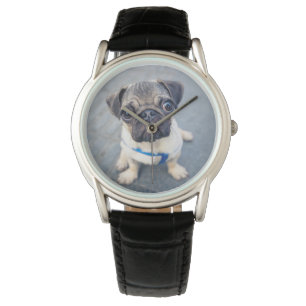 Montre Animaux de bébés cutest   Carlin bébé