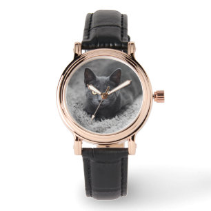 Montre Animaux de bébés cutest Chat gris