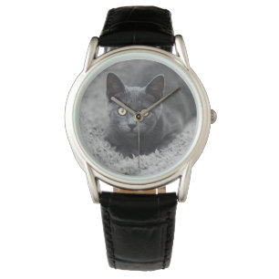 Montre Animaux de bébés cutest Chat gris