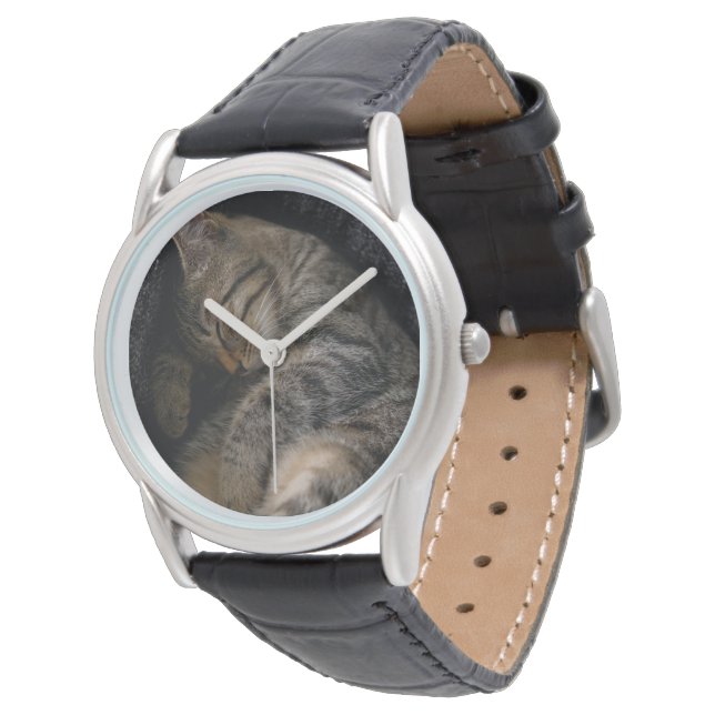 Montre Animaux de bébés cutest | Chat Tabby Dormant (Incliné)