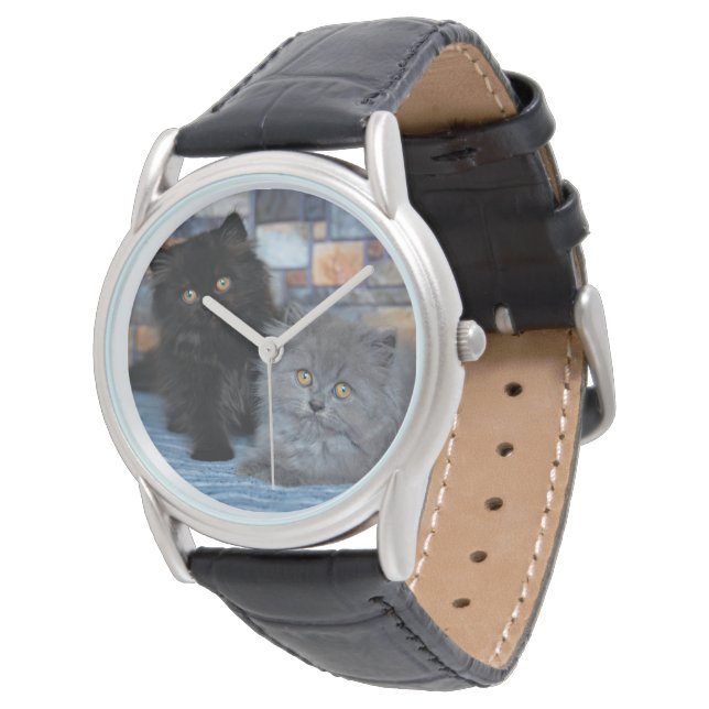 Montre Animaux de bébés cutest | Chatons persans sur couv (Incliné)