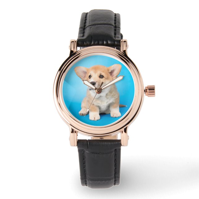 Montre Animaux de bébés cutest | Chiot de Corgi en bleu (Recto)