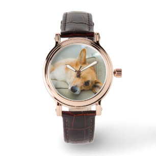 Montre Animaux de bébés cutest   Chiot de Corgi sur canap