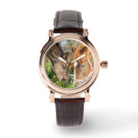 Animaux de bébés cutest | Colt à cheval