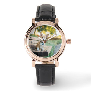 Montre Animaux de bébés cutest   Corgi Puppy sur un banc 