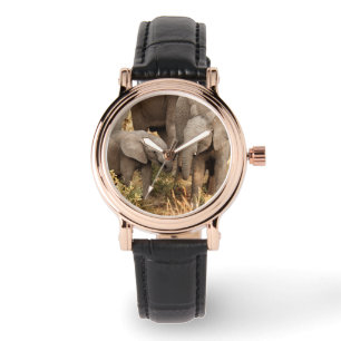 Montre Animaux de bébés cutest   Deux jeunes éléphants