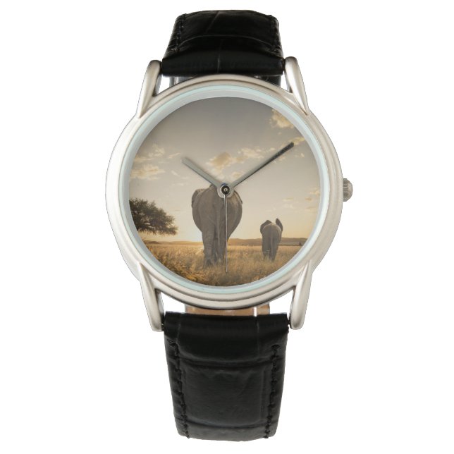 Montre Animaux de bébés cutest | Eléphant veau et mère (devant)