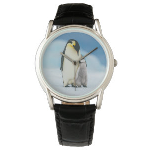 Montre Animaux de bébés cutest Empereur Penguin Chick
