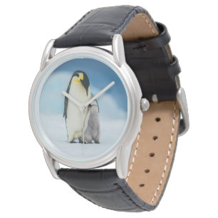 Montre Animaux de bébés cutest   Empereur Penguin Chick