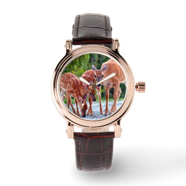 Montre Animaux de bébés cutest | Fawn with Babies (Recto)