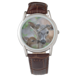 Montre Animaux de bébés cutest   Key Deer Stag & Fawn