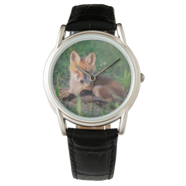 Montre Animaux de bébés cutest | Kit Red Fox Relaxant (devant)