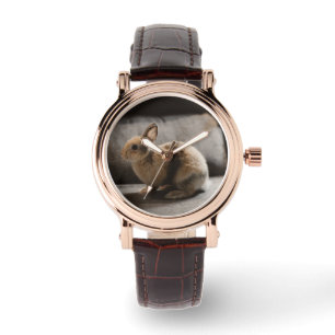 Montre Animaux de bébés cutest   Lapin nain de Pays-Bas