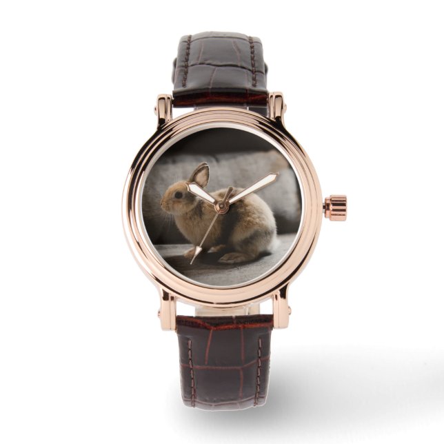 Montre Animaux de bébés cutest | Lapin nain de Pays-Bas (Recto)