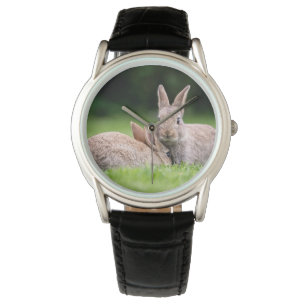 Montre Animaux de bébés cutest   Lapins de lapin sauvage