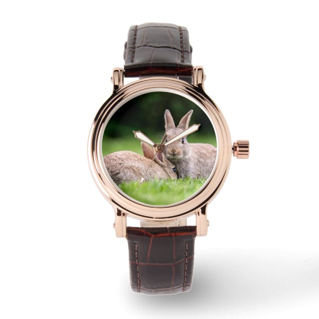 Montre Animaux de bébés cutest | Lapins de lapin sauvage (Recto)