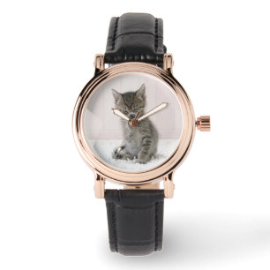 Montre Animaux de bébés cutest Licking Tabby Kitten