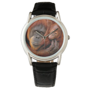Montre Animaux de bébés cutest   Orangutan Maman & Baby