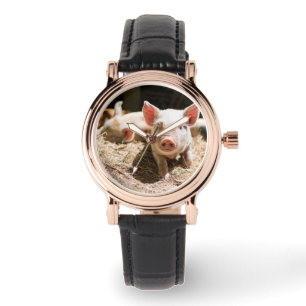 Montre Animaux de bébés cutest   Piglet bébé mignon