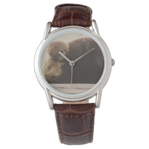 Montre Animaux de bébés cutest   Pompe Otter nouveau-né