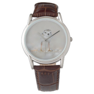Montre Animaux de bébés cutest   Poussette de tuyauterie