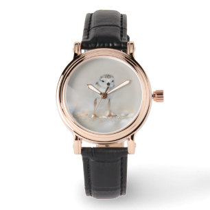 Montre Animaux de bébés cutest Poussette de tuyauterie