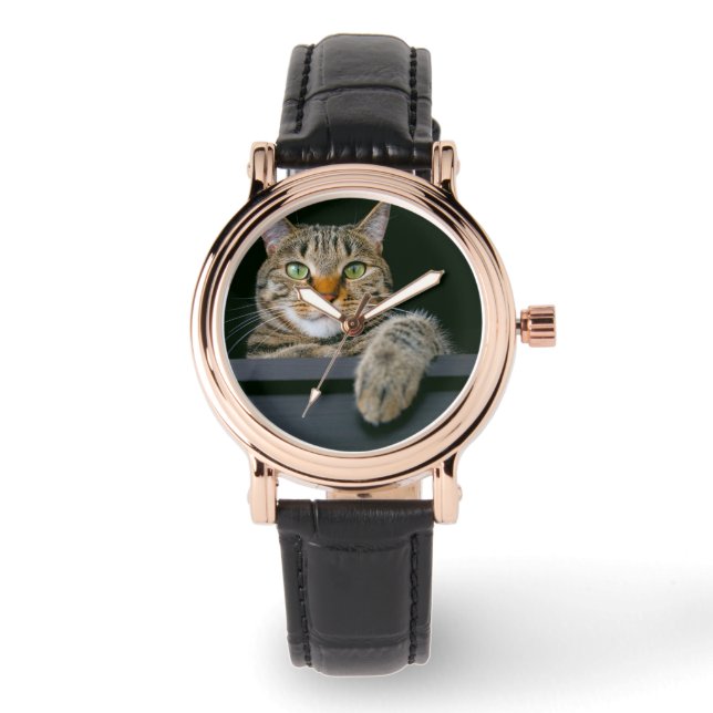 Montre Animaux de bébés cutest | Tête de chat gris Tabby (Recto)