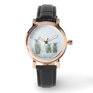 Montre Animaux de bébés cutest   Trois jeunes ours polair