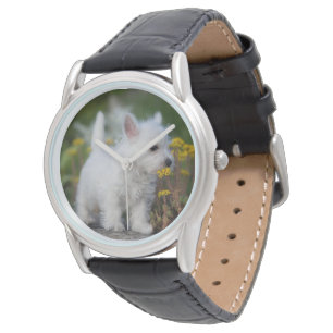 Montre Animaux de bébés cutest West Highland White Terr