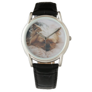 Montre Animaux de bébés cutest Yorkshire Terrier