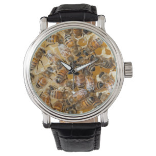 Montre Apiculture à Arlo's Honey Farm