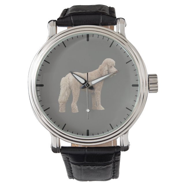 Montre Apricot Poodle (devant)