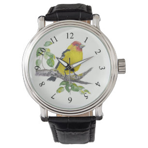 Montre Aquarelle Tangara Occidental Ornithologie Observat