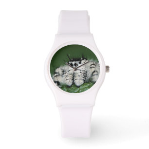 Montre Araignée sauteuse Metaphid