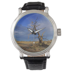 Montre Arbre épineux du chameau mort (Acacia Erioloba)