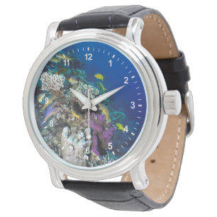 Montre Around Small Coral