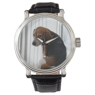 Montre attitude de beagle
